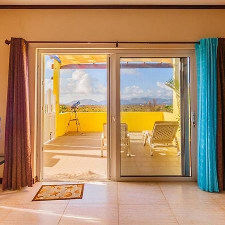The Junior Suite'S "Palm Studio Apartment" South Hill Village 외부 사진